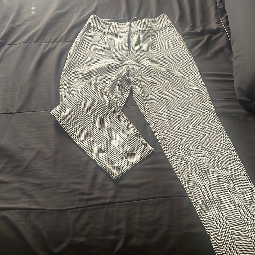 Express straight leg dress pant